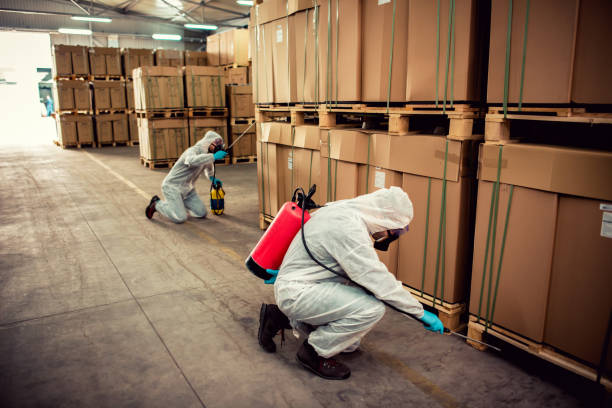 Best Pest Prevention Services  in Sheridan, IN