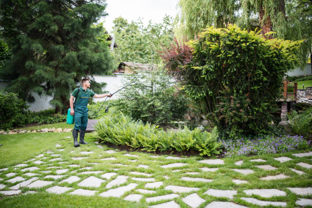 Best Affordable Pest Control Services  in Sheridan, IN