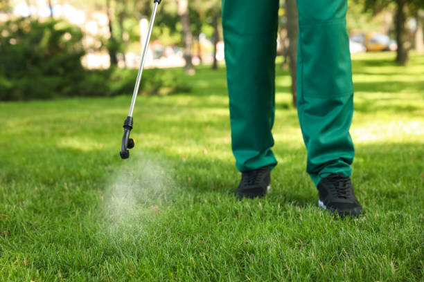 Best Pest Inspection Near Me  in Sheridan, IN