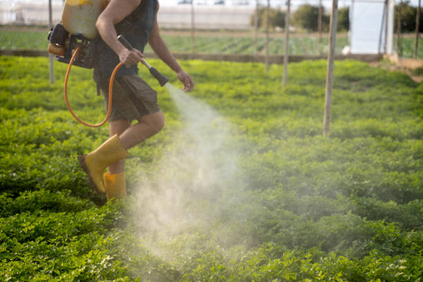 Best Pest Control for Restaurants  in Sheridan, IN
