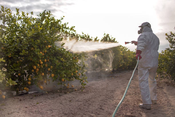 Best Residential Pest Control  in Sheridan, IN