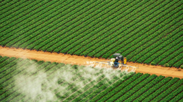 Best Pest Control for Homes  in Sheridan, IN