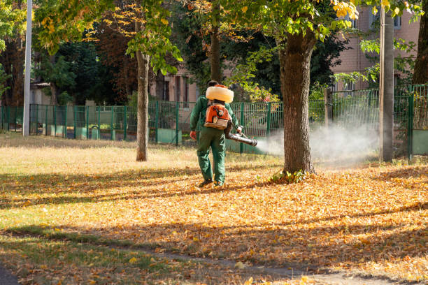 Professional Pest Control in Sheridan, IN