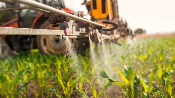 Best Mosquito Control Services  in Sheridan, IN